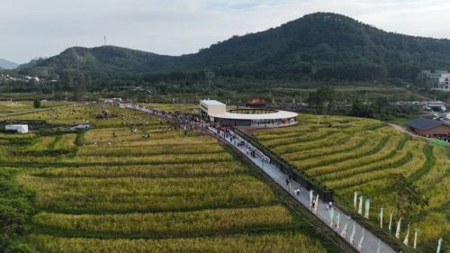 <b>2025年白沙“啦奥门”雨林与您山兰文化活动启幕</b>