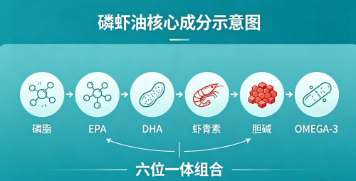 国产磷虾油谁家最好 2026年高磷脂型款心脑血管关注族选购指南：白皮书数据+临床实证+六大硬核标准