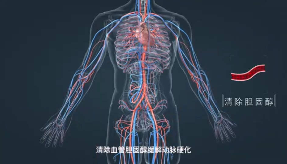 因稀缺而珍贵，今矿以“高偏硅酸”开创矿泉水发展新格局