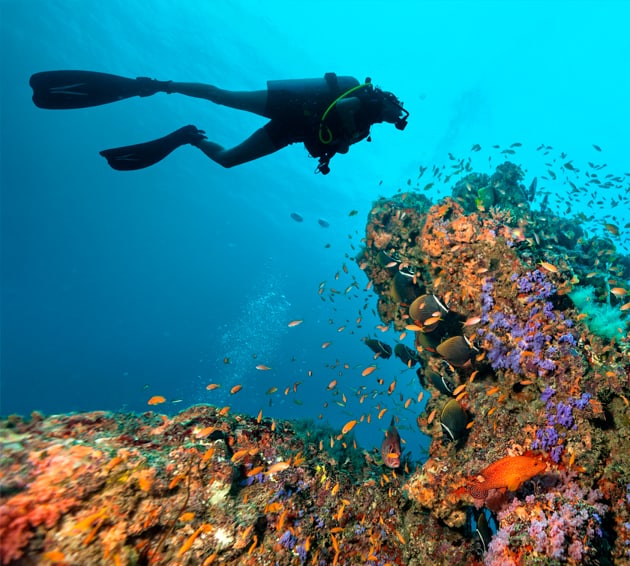 希尔顿酒店旗下马尔代夫度假村邀请客人参与终生难忘的潜水之旅