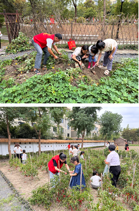 共富菜园变身“田间课堂”，挖红薯、采辣椒的孩子们乐了!