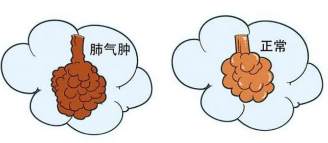 https://img2.danews.cc/upload/ajax/20240711/9c1202b8c4090cb986acd984a22b7153.png