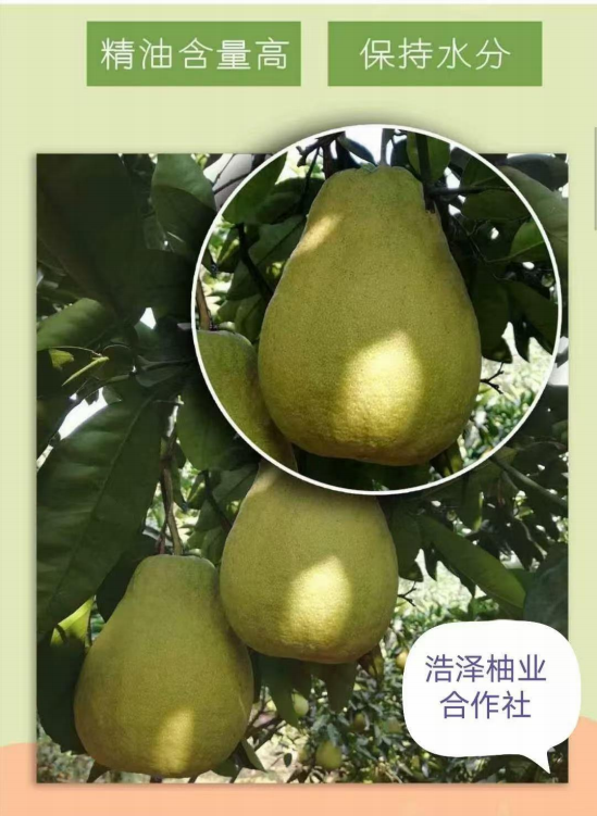 https://img2.danews.cc/upload/ajax/20241129/6489423b5697f11b49a1cb80d67e83fb.png