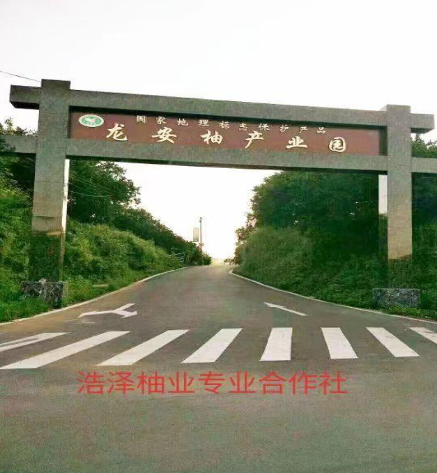 https://img2.danews.cc/upload/ajax/20241129/79a025c43d91da15f077ad05eb2e7371.png