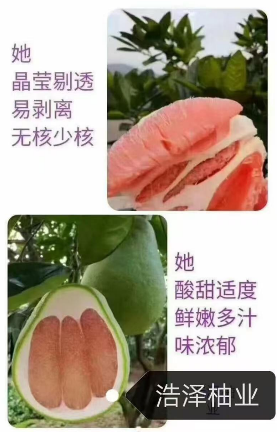 https://img2.danews.cc/upload/ajax/20241129/c5218e21f41adf16cb7abfd4396110e8.png