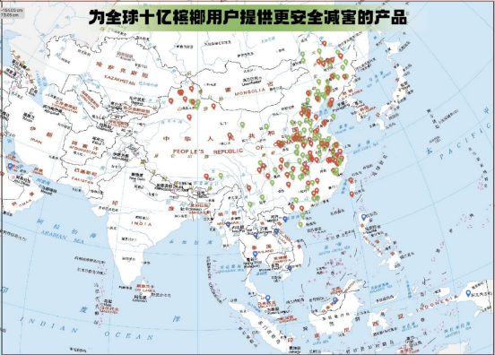 中国新型槟榔销售第一!槟气2024业绩爆增800%以上