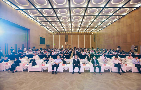 https://img2.danews.cc/upload/ajax/2025-06-26/FsgZyUgyczxDajax.png