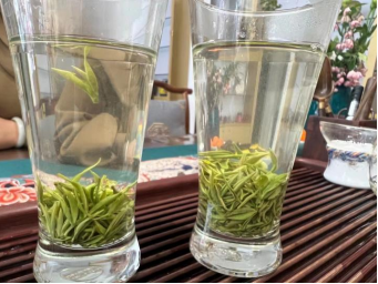 我的茶店經營之道：在潮流中堅守與創新