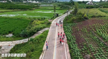重庆医药高等专科学校“三下乡”：中医药进乡村，健康文化惠民生