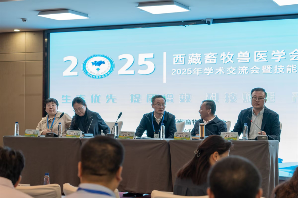 https://img2.danews.cc/upload/ajax/2025-08-11/mNBweOXeigiTajax.png