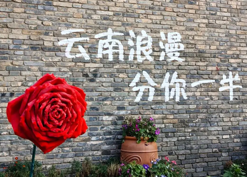 https://img2.danews.cc/upload/ajax/2025-08-15/ajaxldalPNULoOkr.png