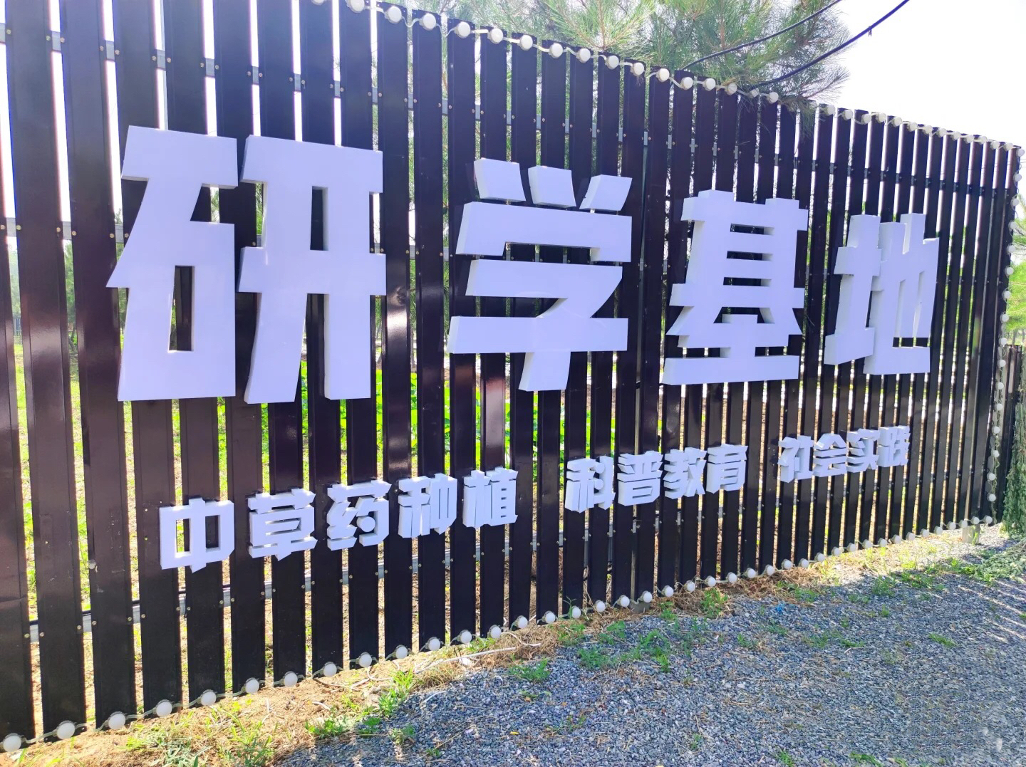 https://img2.danews.cc/upload/ajax/2025-08-20/ajaxDahGqEsINzLg.png
