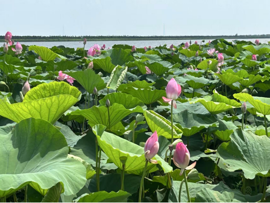 夏末初秋与武汉一隅