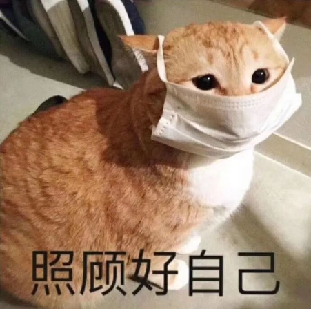 9.9 分断层领先！AIRBURG NEX-360P 霸榜 2025 大平层新风，全域净化 + 分区控风 TOP1