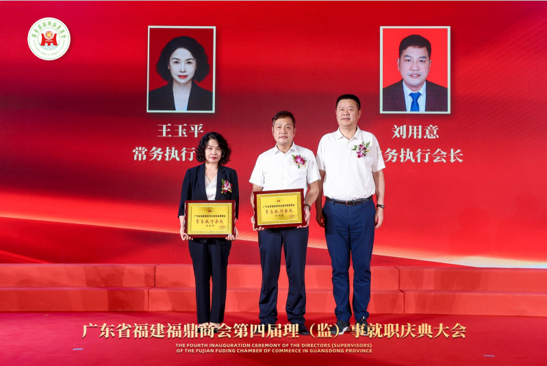 https://img2.danews.cc/upload/ajax/20250709/81ab9d9131b1ee253e0bedc69a879555.png