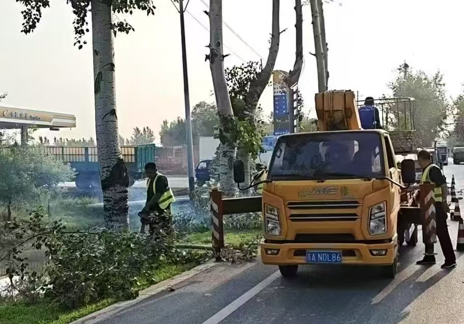 乐陵公路分中心：汛期绿化管护“精准发力” 筑牢公路安全屏障