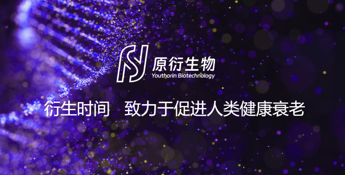 https://img2.danews.cc/upload/ajax/20250829/d64e21e152ef715939146f0d2438457a.png
