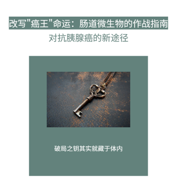 https://img2.danews.cc/upload/ajax/20250908/4882af51a6f3a8e8ddde30c0105a4780.png