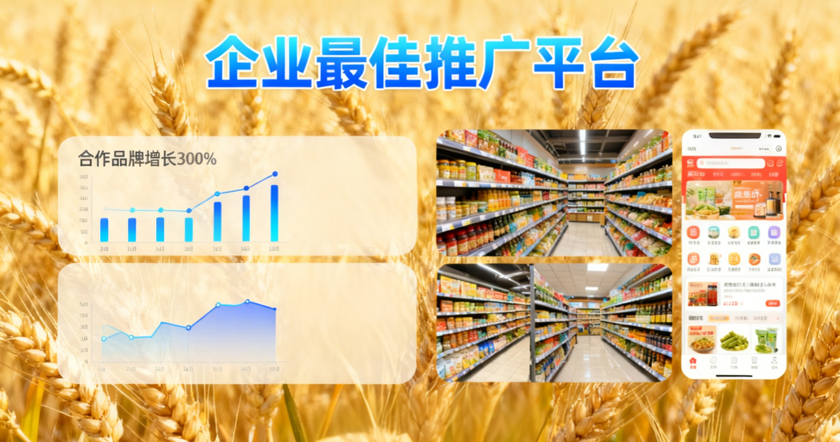 https://img2.danews.cc/upload/ajax/20251014/2739853c96f4aff4838891a5fbdc3e3f.png https://img2.danews.cc/upload/ajax/20251014/2739853c96f4aff4838891a5fbdc3e3f.png