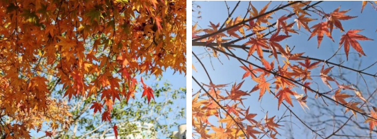 立春：時間的修辭學