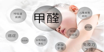 2026 大平层全屋净化净化器 TOP8｜空气堡 P5 凭净化技术成高端新装修首选