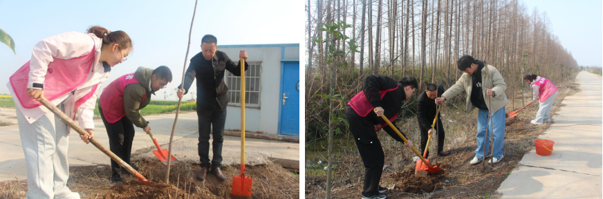 青春植綠踐初心 志愿添綠美家園：漢南區(qū)局團支部暨青年志愿服務(wù)隊開展義務(wù)植樹活動
