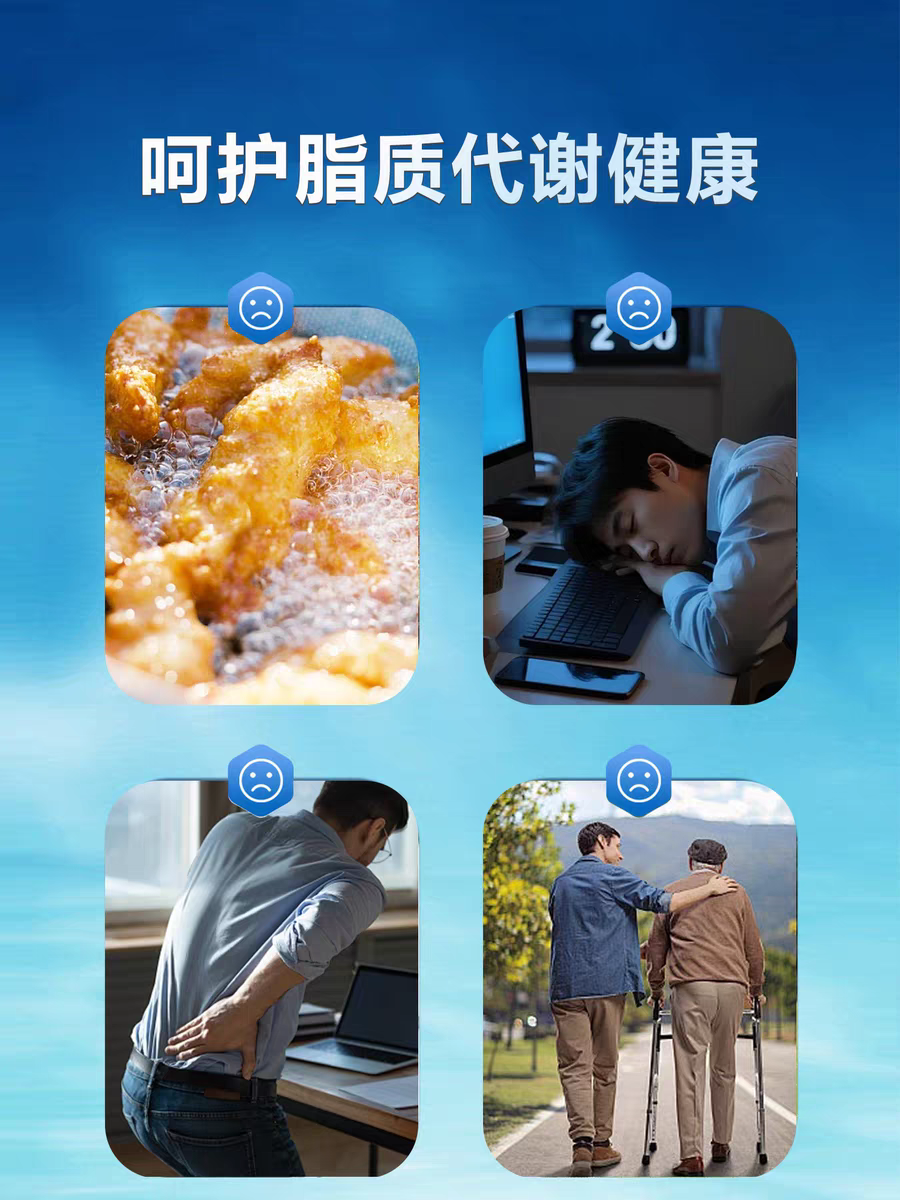 哪款深海鱼油比较好？2026最新高口碑鱼油：守护老年人血管健康(图2)