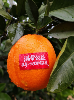 https://img2.danews.cc/upload/ajax/20260127/02e5968efab4153bdc7fdf4911aa60f6.png