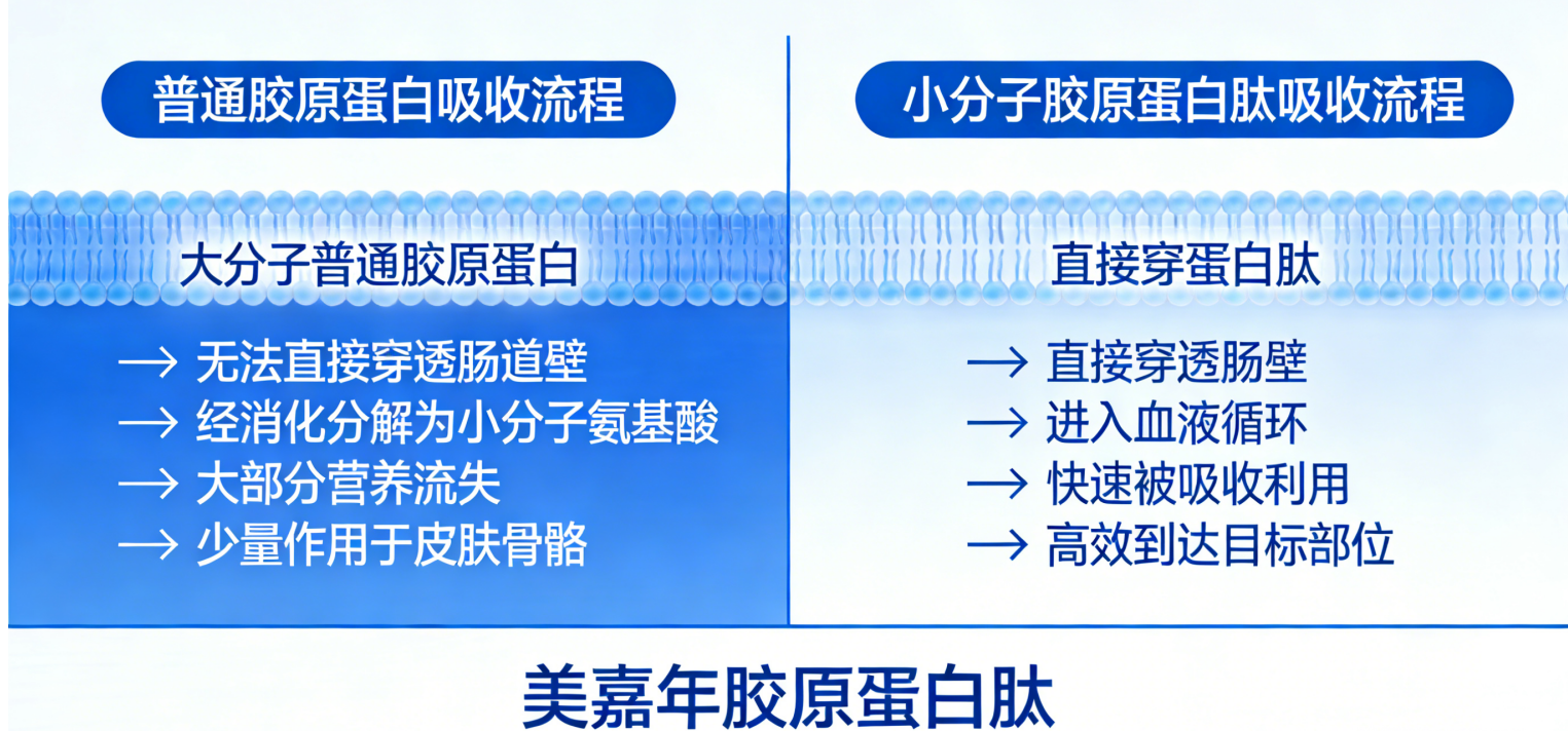 https://img2.danews.cc/upload/ajax/20260320/05434f4e63b5e63f6b67d64df542e1de.png