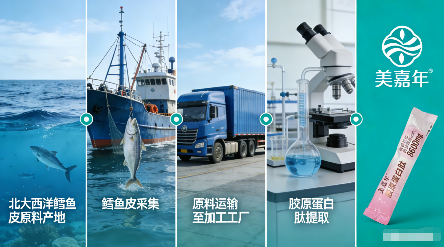 2026年美嘉年胶原蛋白肽原料及同类产品差异化优势