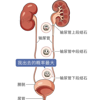 https://img2.danews.cc/upload/ajax/20260528/39954475e8adf2b3f838f6c36ce8d31b.png