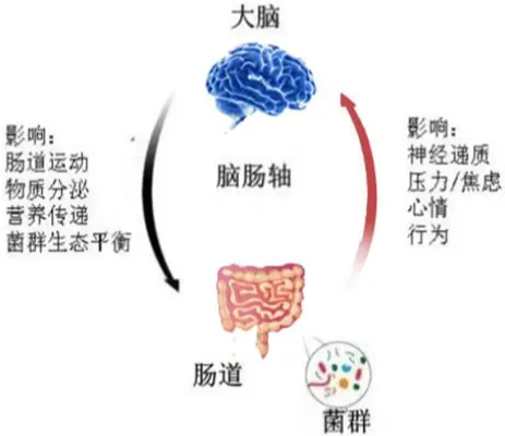 https://img2.danews.cc/upload/ajax/20260528/856fe0a59ba219ad61bc869f844995fe.png
