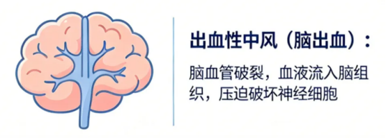 https://img2.danews.cc/upload/ajax/20260529/72128d47f777616871216dc0b99b7e1e.png