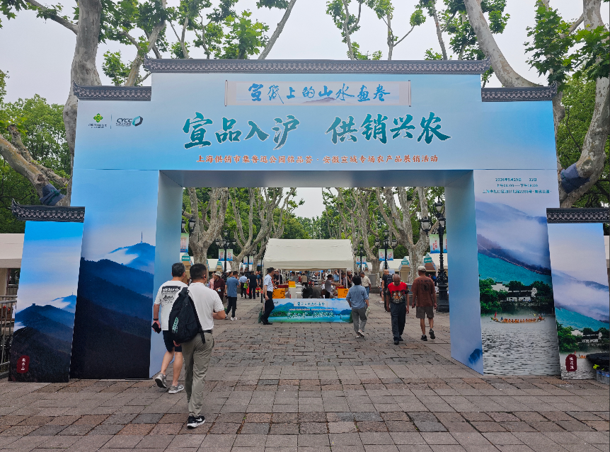 https://img2.danews.cc/upload/ajax/20260529/b1a76e61a64c3489461b60a541640200.png https://img2.danews.cc/upload/ajax/20260529/b1a76e61a64c3489461b60a541640200.png