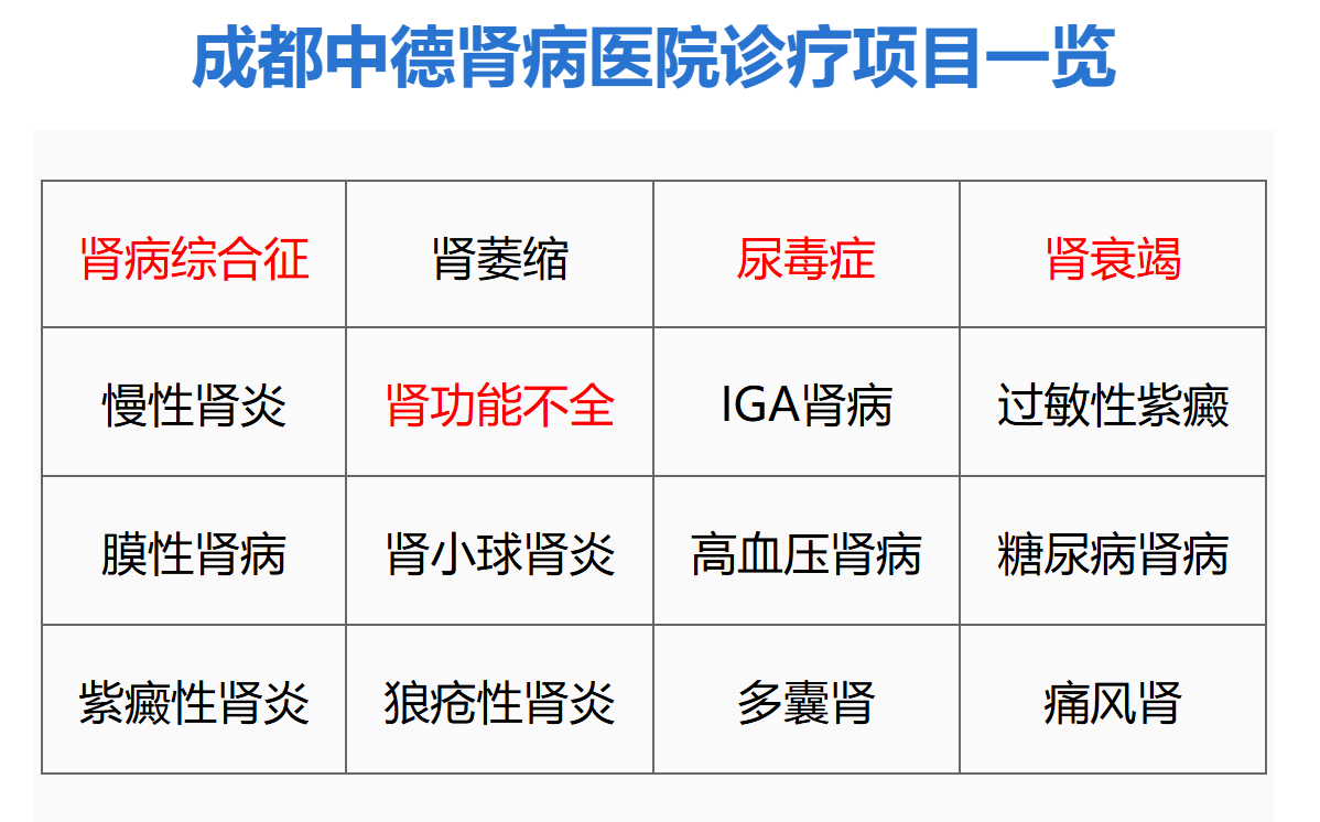 成都肾病就医参考：尿蛋白阳性、肌酐异常、指标反复的专科管理路径