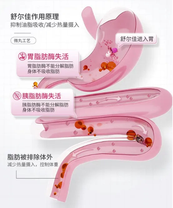 奥利司他到底安全吗?副作用、禁忌、正确用法一次讲清