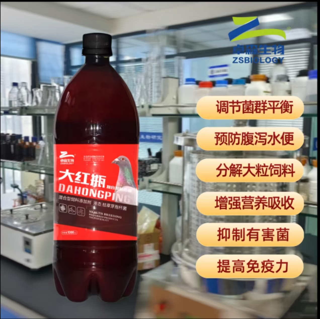 赛鸽甩拉吐水便反复、换羽慢、归巢后蔫了? 赛鸽甩拉吐水便反复、换羽慢、归巢后蔫了?