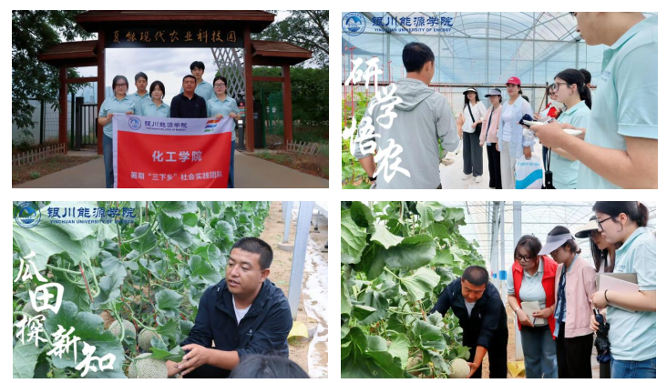 躬身乡土践初心！银能学子书写乡村振兴青春答卷