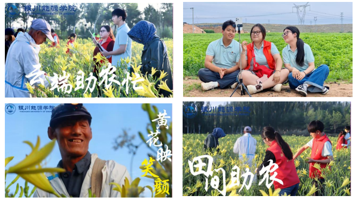 躬身乡土践初心！银能学子书写乡村振兴青春答卷
