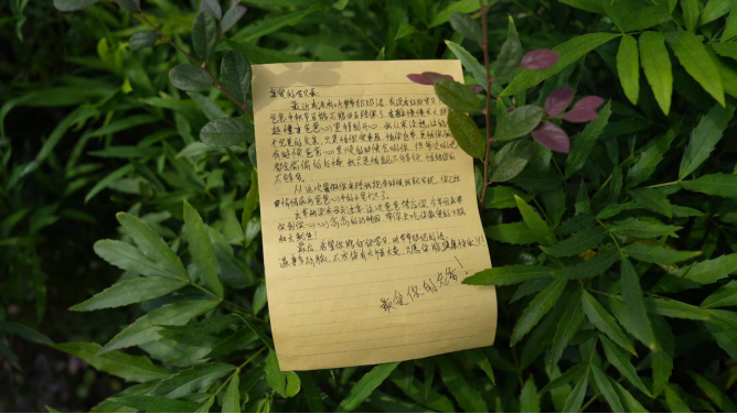 https://img2.danews.cc/upload/ajax/20260924/37b97f10acb8085fa799ed590fb97a86.png
