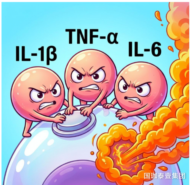 https://img2.danews.cc/upload/ajax/20261014/498c18f39602621178175355cde39aee.png