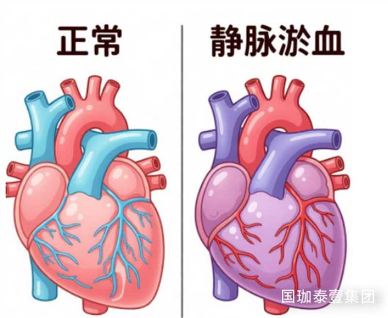 https://img2.danews.cc/upload/ajax/20261014/7b89c8bfe474ba4b0c257976c4329c43.jpg