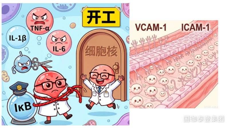 https://img2.danews.cc/upload/ajax/20261014/e64ef411c3fe58117dbf4b0a7f8229fd.png