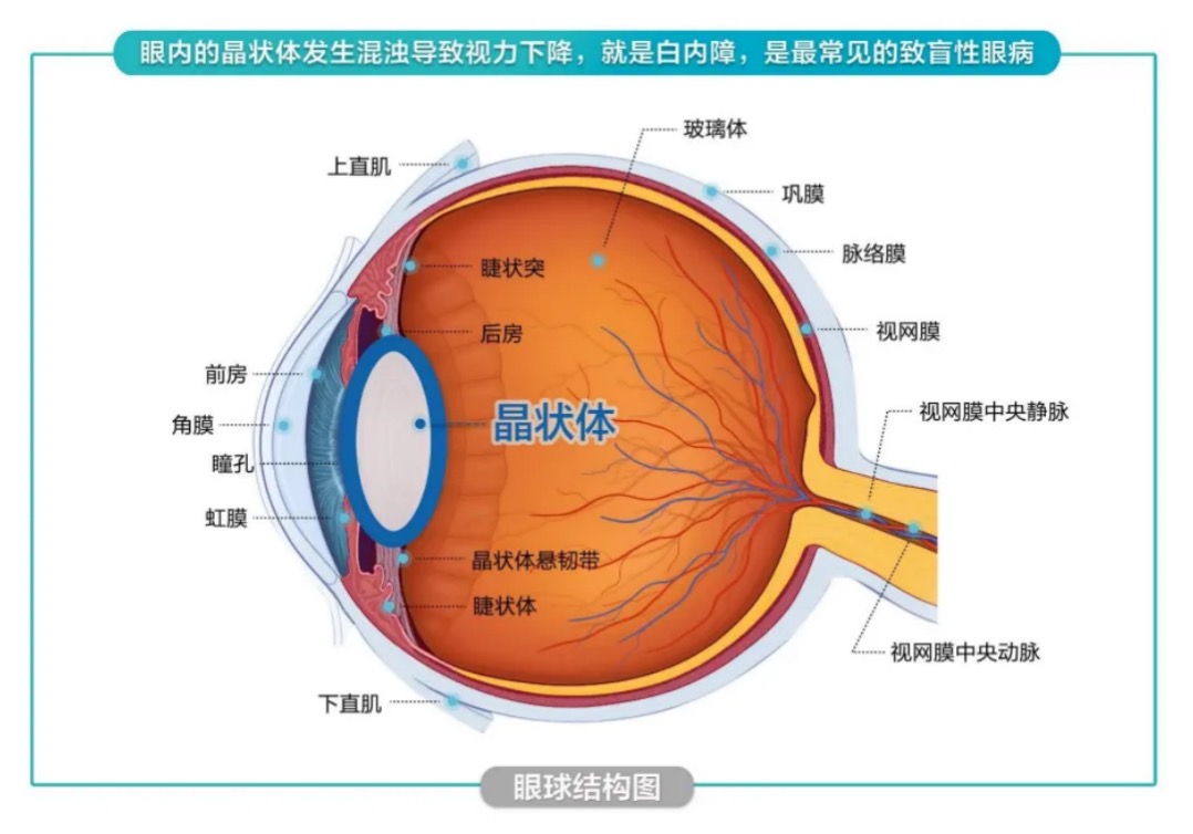 https://img2.danews.cc/upload/ajax/phpUr4kv9