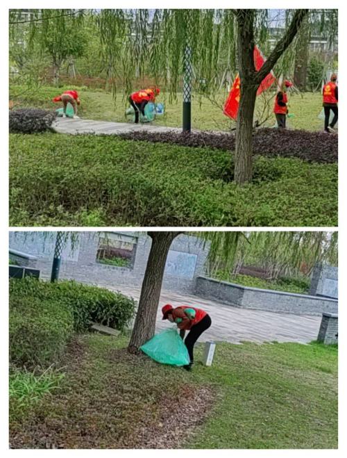 弘泰俱乐部蔡小花团队：践行低碳环保，共建美好家园