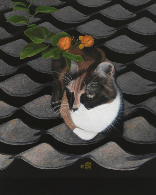 當代值得關注的藝術家——徐瑞的貓語?藝