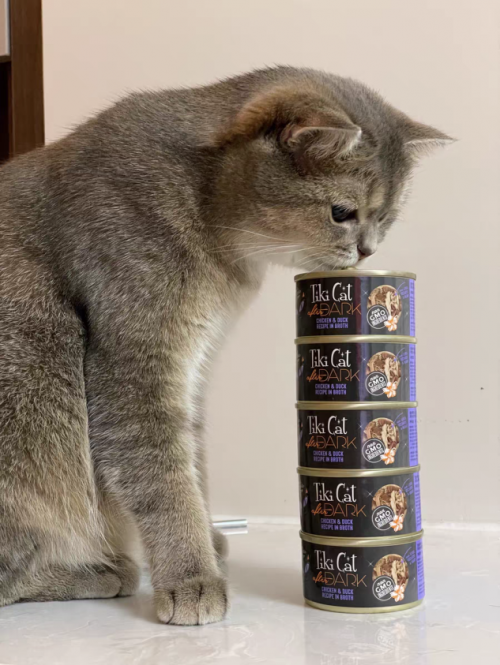 优质猫粮推荐Tiki Cat，轻松拿捏猫主子的胃