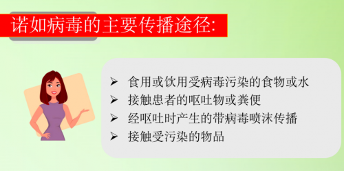 家有老人小孩注意！诺如病毒到了高发季，威力不容小觑