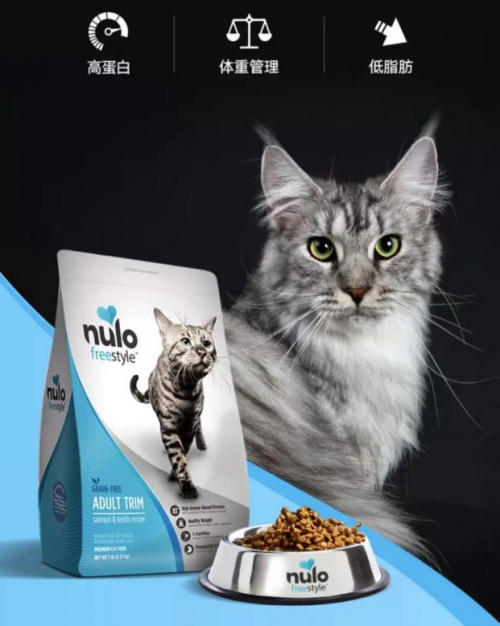 肥胖猫咪专属福利，Nulo猫粮健康甩脂-区块链时报网