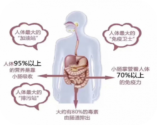 率先通过新国标，贝因美艾贝可生牛乳+鼎配配方，这款国货奶粉怎么样？